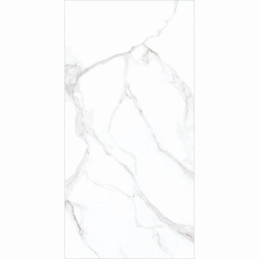 GPP 251-14442, 60x120x1.0 Tile Glossy
