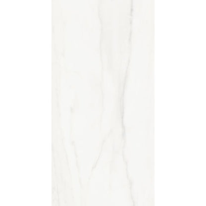 GPP 251-12765, 60x120x1.0 Tile Glossy