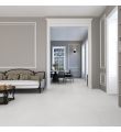 GP 250-14689, 60x60x0.9 Tile Matt