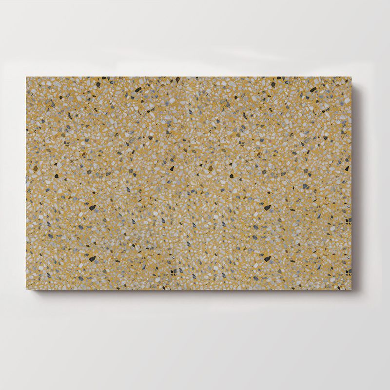 Terrazzo Tile TT60x30