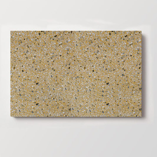 Terrazzo Tile TT60x30