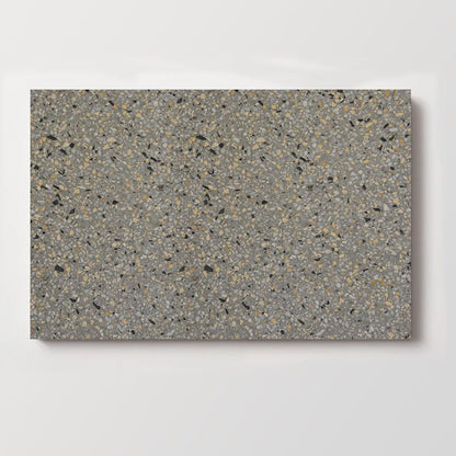 Terrazzo Tile TT60x30